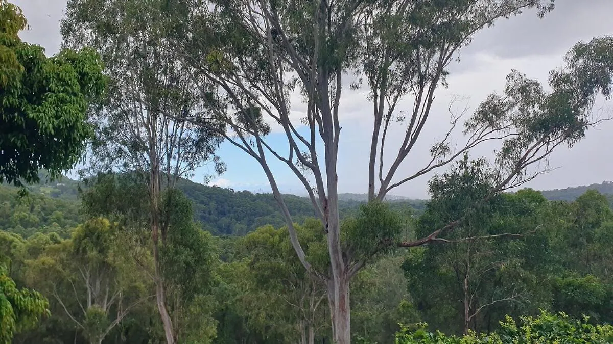 Personal Sauna & Ice-Bath At Kookaburra Cabin Mudgeeraba
